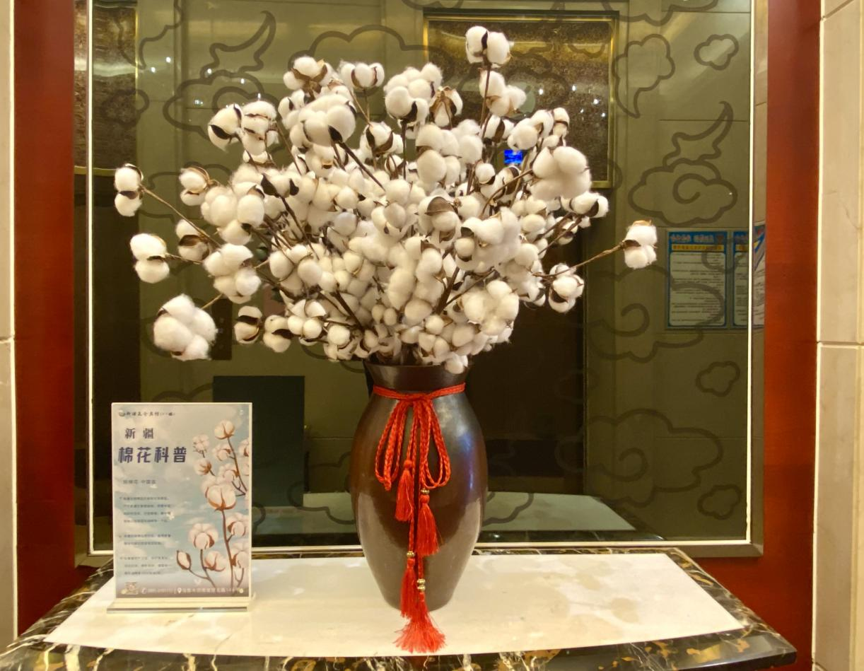 朵朵棉花展风貌